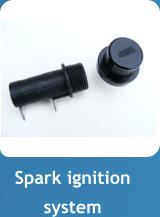 Spark ignition system