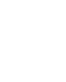 LPS 343 - SOL Magnetic Solenoid Unit for  Gas Valve - Push fit (coaxial)