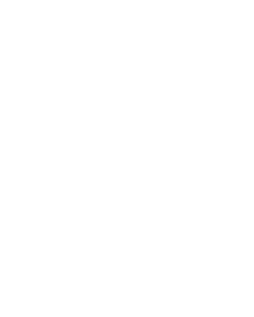 LPS 343 - SOL Magnetic Solenoid Unit for  Gas Valve - Screw fit